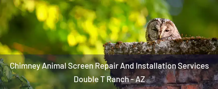 Chimney Animal Screen Repair And Installation Services Double T Ranch - AZ