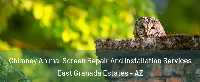 Chimney Animal Screen Repair And Installation Services East Granada Estates - AZ