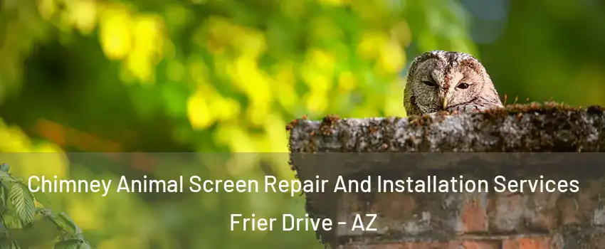 Chimney Animal Screen Repair And Installation Services Frier Drive - AZ
