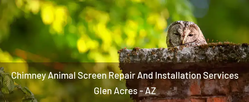 Chimney Animal Screen Repair And Installation Services Glen Acres - AZ