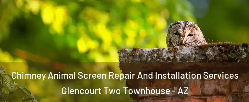 Chimney Animal Screen Repair And Installation Services Glencourt Two Townhouse - AZ