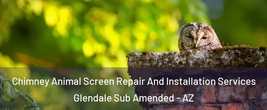 Chimney Animal Screen Repair And Installation Services Glendale Sub Amended - AZ