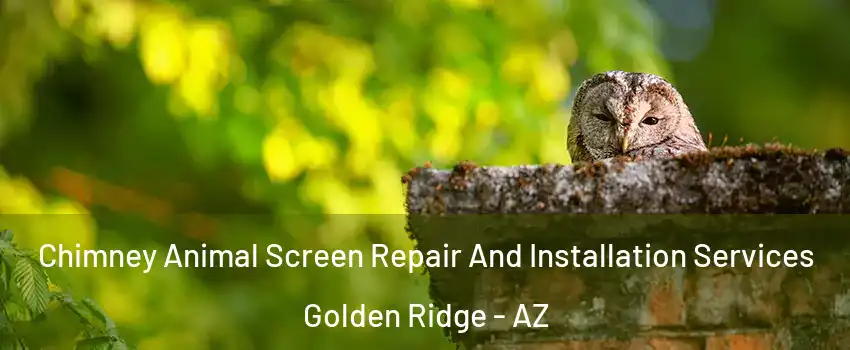 Chimney Animal Screen Repair And Installation Services Golden Ridge - AZ