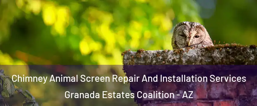 Chimney Animal Screen Repair And Installation Services Granada Estates Coalition - AZ