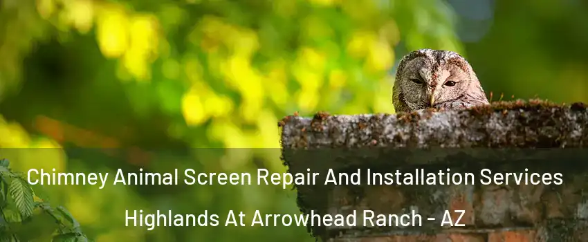 Chimney Animal Screen Repair And Installation Services Highlands At Arrowhead Ranch - AZ