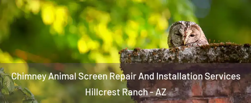 Chimney Animal Screen Repair And Installation Services Hillcrest Ranch - AZ
