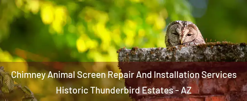 Chimney Animal Screen Repair And Installation Services Historic Thunderbird Estates - AZ