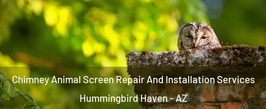 Chimney Animal Screen Repair And Installation Services Hummingbird Haven - AZ