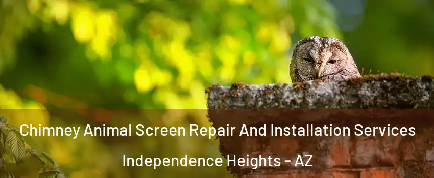 Chimney Animal Screen Repair And Installation Services Independence Heights - AZ