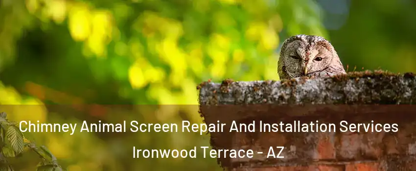 Chimney Animal Screen Repair And Installation Services Ironwood Terrace - AZ