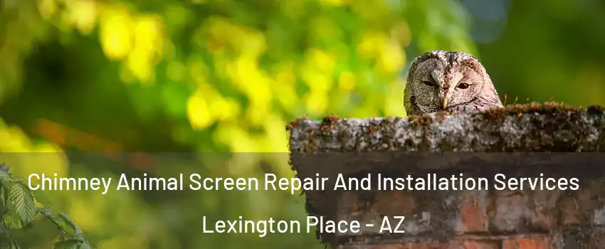 Chimney Animal Screen Repair And Installation Services Lexington Place - AZ