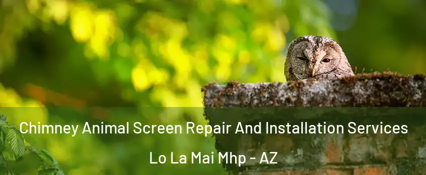 Chimney Animal Screen Repair And Installation Services Lo La Mai Mhp - AZ