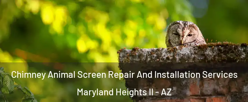 Chimney Animal Screen Repair And Installation Services Maryland Heights II - AZ