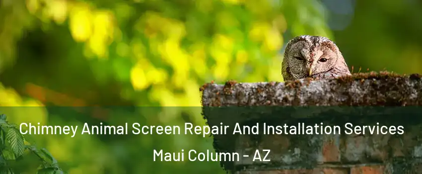 Chimney Animal Screen Repair And Installation Services Maui Column - AZ