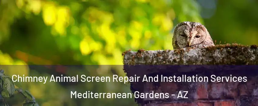 Chimney Animal Screen Repair And Installation Services Mediterranean Gardens - AZ