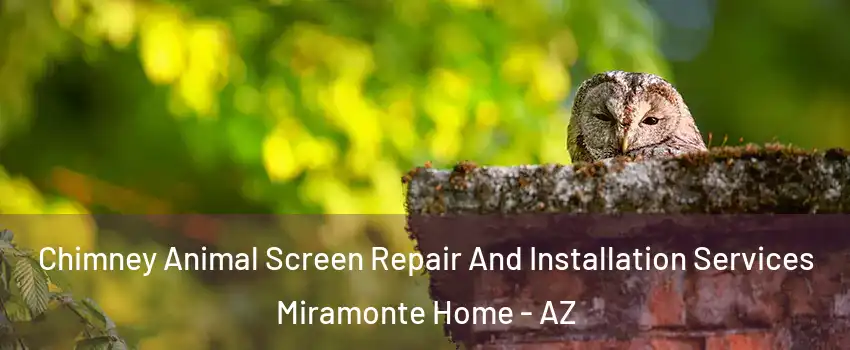 Chimney Animal Screen Repair And Installation Services Miramonte Home - AZ