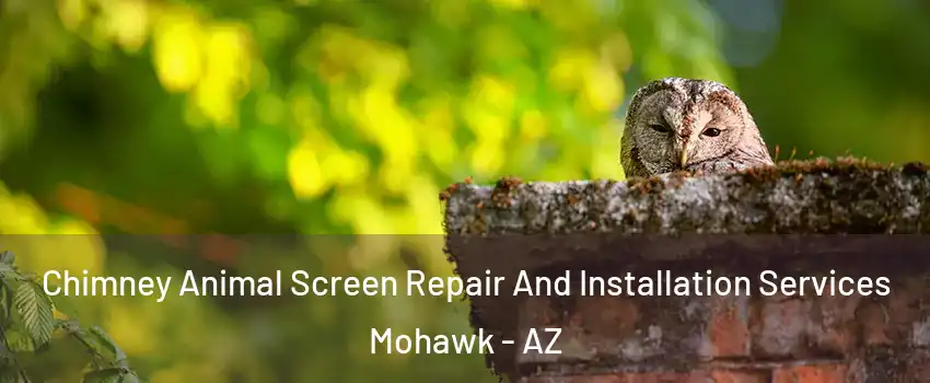 Chimney Animal Screen Repair And Installation Services Mohawk - AZ