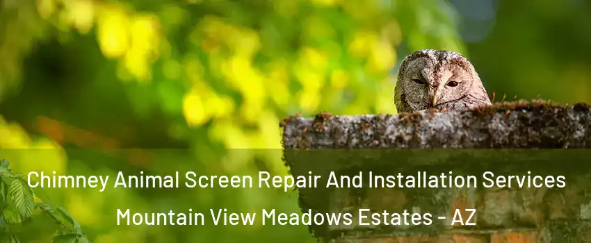 Chimney Animal Screen Repair And Installation Services Mountain View Meadows Estates - AZ