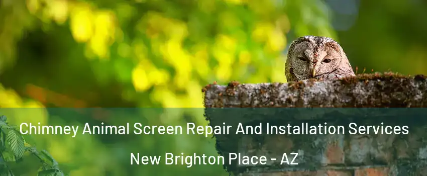 Chimney Animal Screen Repair And Installation Services New Brighton Place - AZ
