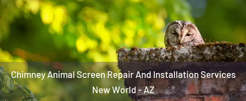 Chimney Animal Screen Repair And Installation Services New World - AZ