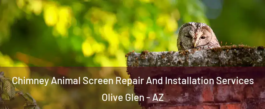 Chimney Animal Screen Repair And Installation Services Olive Glen - AZ