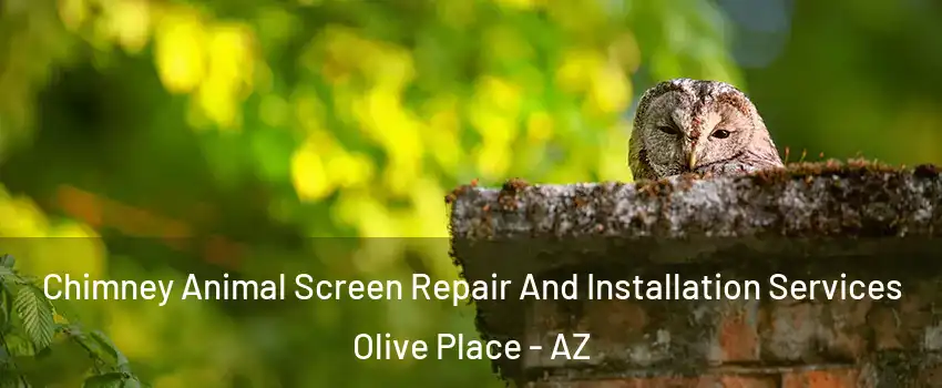 Chimney Animal Screen Repair And Installation Services Olive Place - AZ
