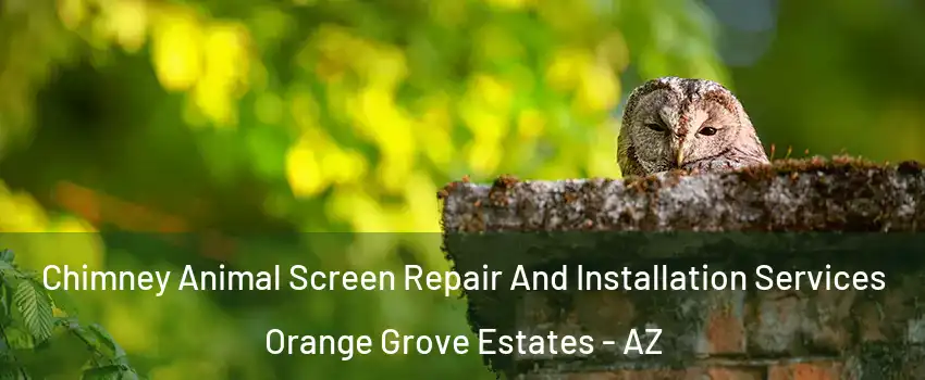 Chimney Animal Screen Repair And Installation Services Orange Grove Estates - AZ