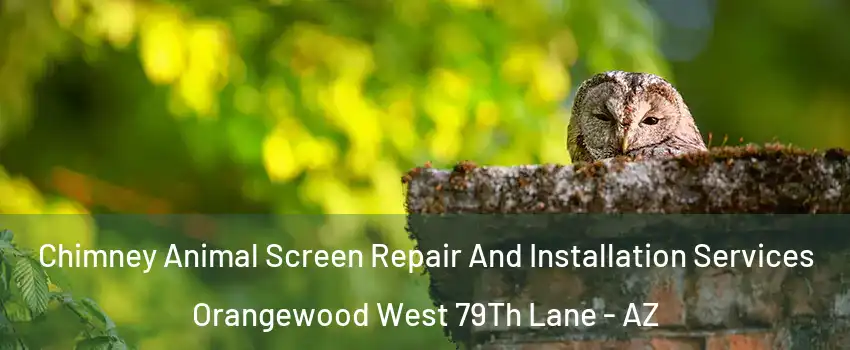 Chimney Animal Screen Repair And Installation Services Orangewood West 79Th Lane - AZ