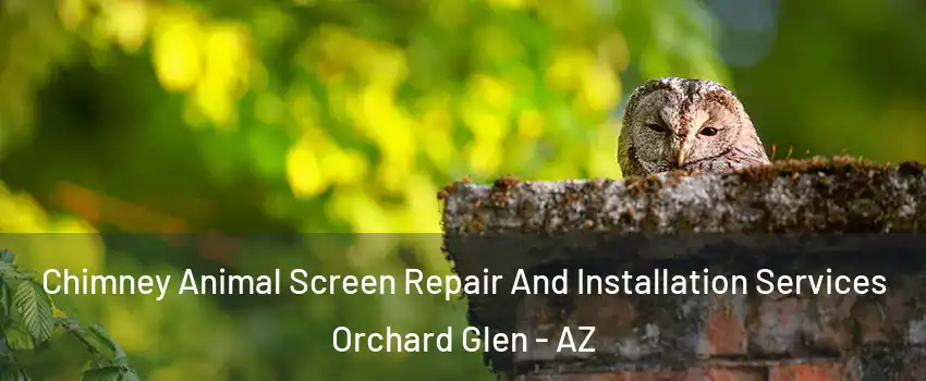 Chimney Animal Screen Repair And Installation Services Orchard Glen - AZ