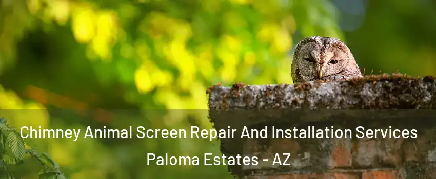 Chimney Animal Screen Repair And Installation Services Paloma Estates - AZ