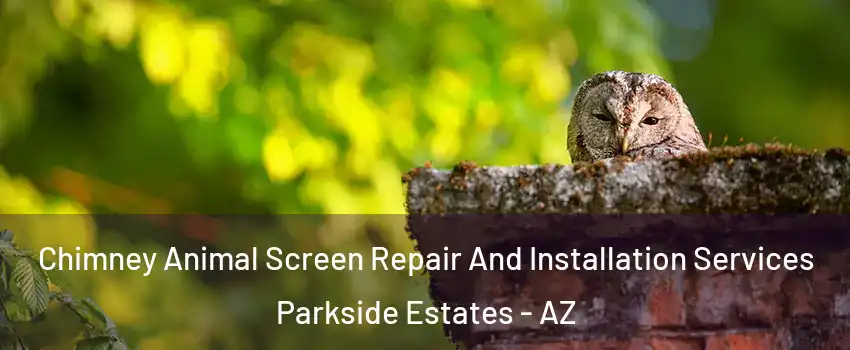 Chimney Animal Screen Repair And Installation Services Parkside Estates - AZ