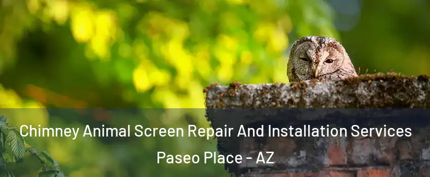 Chimney Animal Screen Repair And Installation Services Paseo Place - AZ