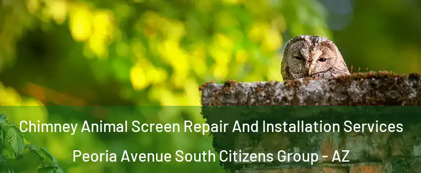 Chimney Animal Screen Repair And Installation Services Peoria Avenue South Citizens Group - AZ