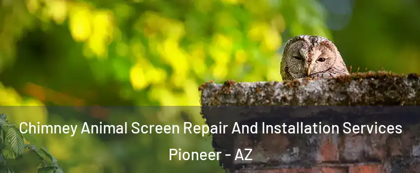 Chimney Animal Screen Repair And Installation Services Pioneer - AZ