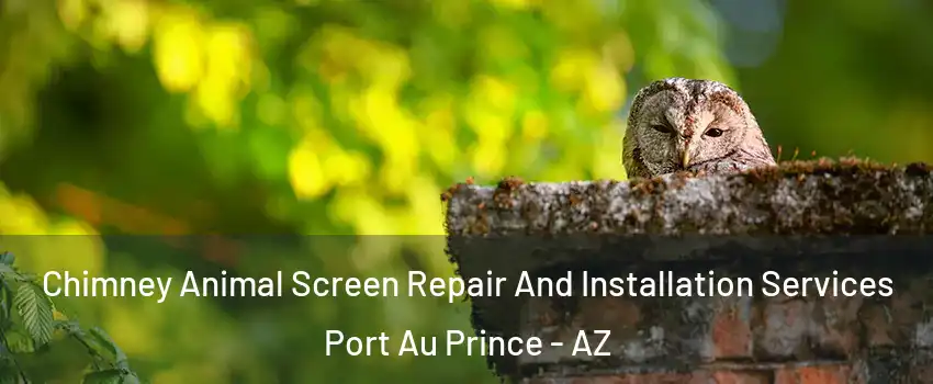 Chimney Animal Screen Repair And Installation Services Port Au Prince - AZ