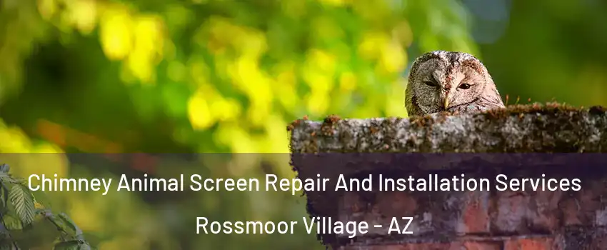 Chimney Animal Screen Repair And Installation Services Rossmoor Village - AZ