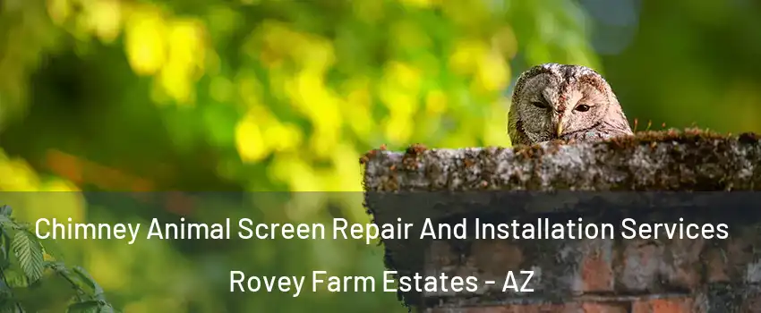 Chimney Animal Screen Repair And Installation Services Rovey Farm Estates - AZ