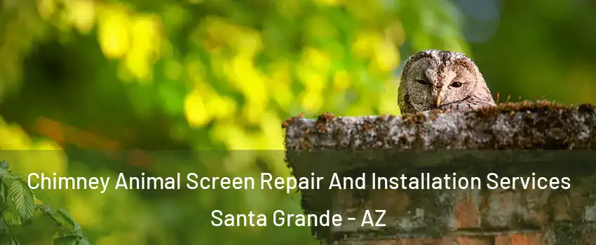 Chimney Animal Screen Repair And Installation Services Santa Grande - AZ