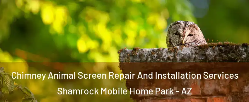 Chimney Animal Screen Repair And Installation Services Shamrock Mobile Home Park - AZ