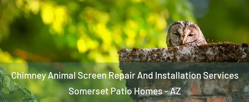 Chimney Animal Screen Repair And Installation Services Somerset Patio Homes - AZ