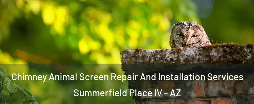 Chimney Animal Screen Repair And Installation Services Summerfield Place IV - AZ
