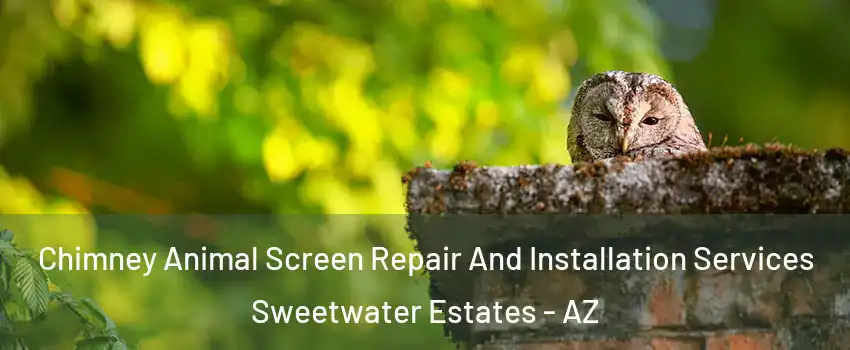 Chimney Animal Screen Repair And Installation Services Sweetwater Estates - AZ
