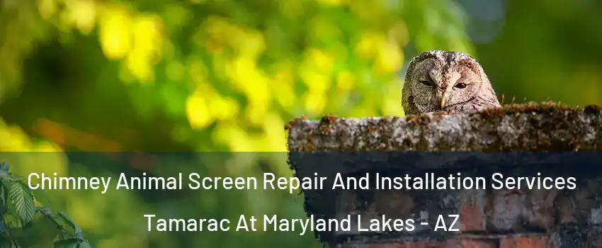 Chimney Animal Screen Repair And Installation Services Tamarac At Maryland Lakes - AZ