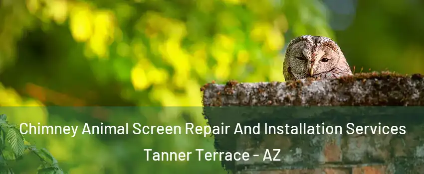 Chimney Animal Screen Repair And Installation Services Tanner Terrace - AZ