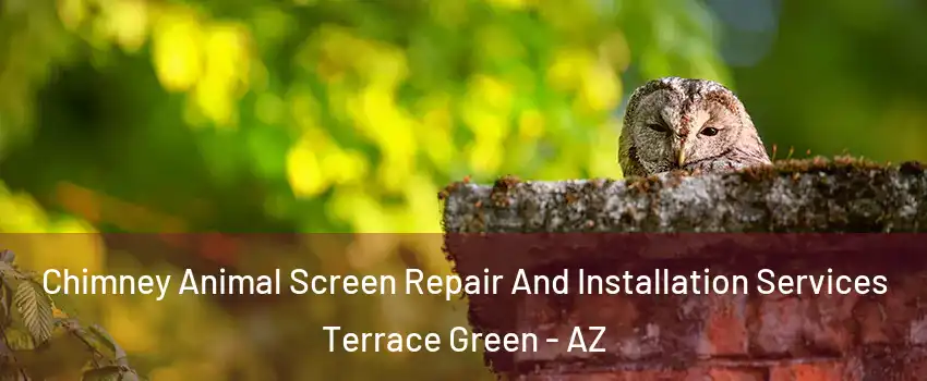Chimney Animal Screen Repair And Installation Services Terrace Green - AZ