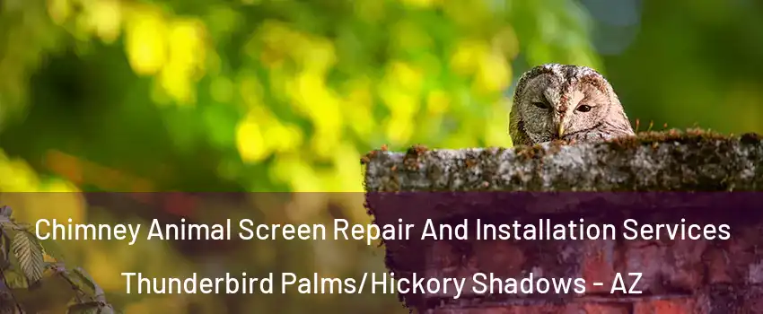 Chimney Animal Screen Repair And Installation Services Thunderbird Palms/Hickory Shadows - AZ