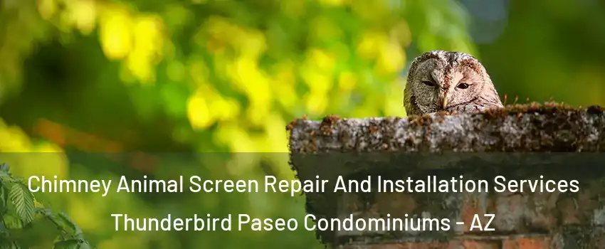 Chimney Animal Screen Repair And Installation Services Thunderbird Paseo Condominiums - AZ