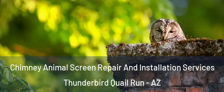 Chimney Animal Screen Repair And Installation Services Thunderbird Quail Run - AZ