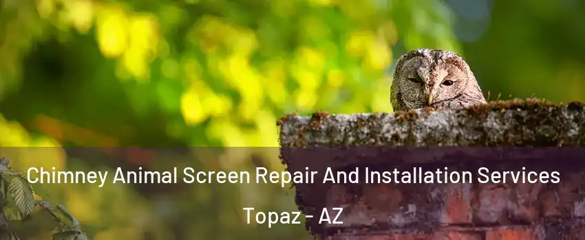 Chimney Animal Screen Repair And Installation Services Topaz - AZ