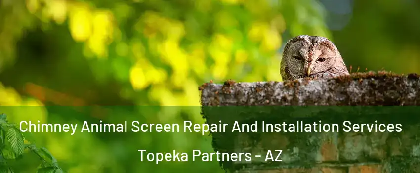 Chimney Animal Screen Repair And Installation Services Topeka Partners - AZ